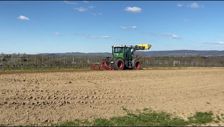 Kreiseln-Pflanzfeld-768x435