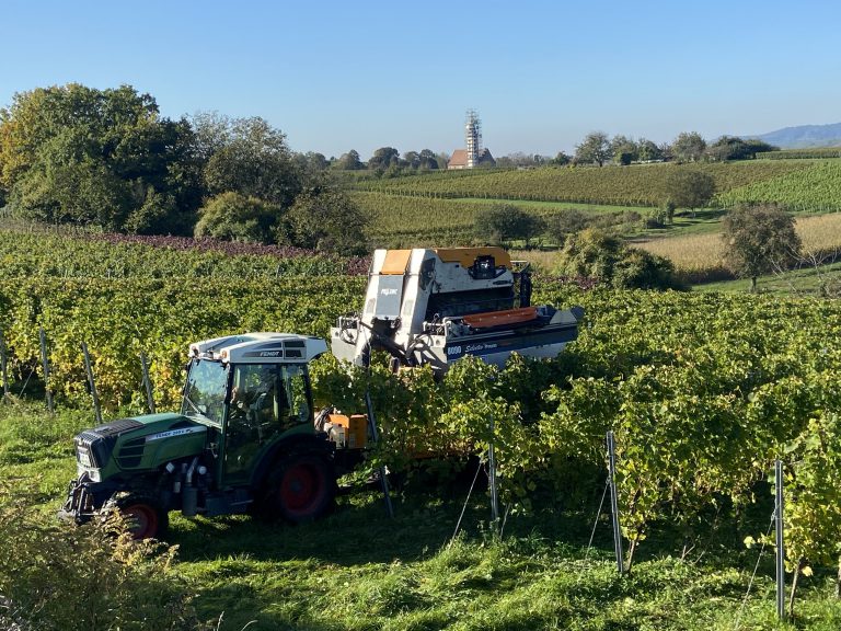 Maschinenlese-4-768x576