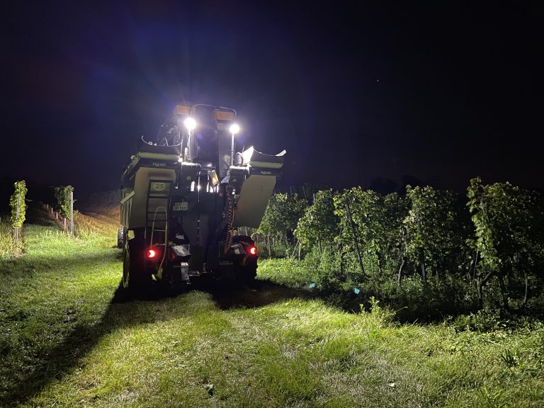 Maschinenlese-5-768x576