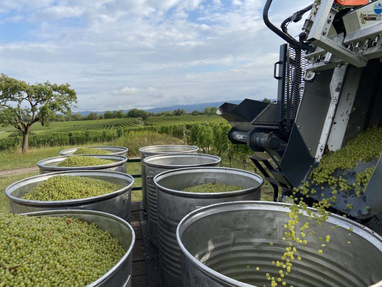 Maschinenlese-8-768x576